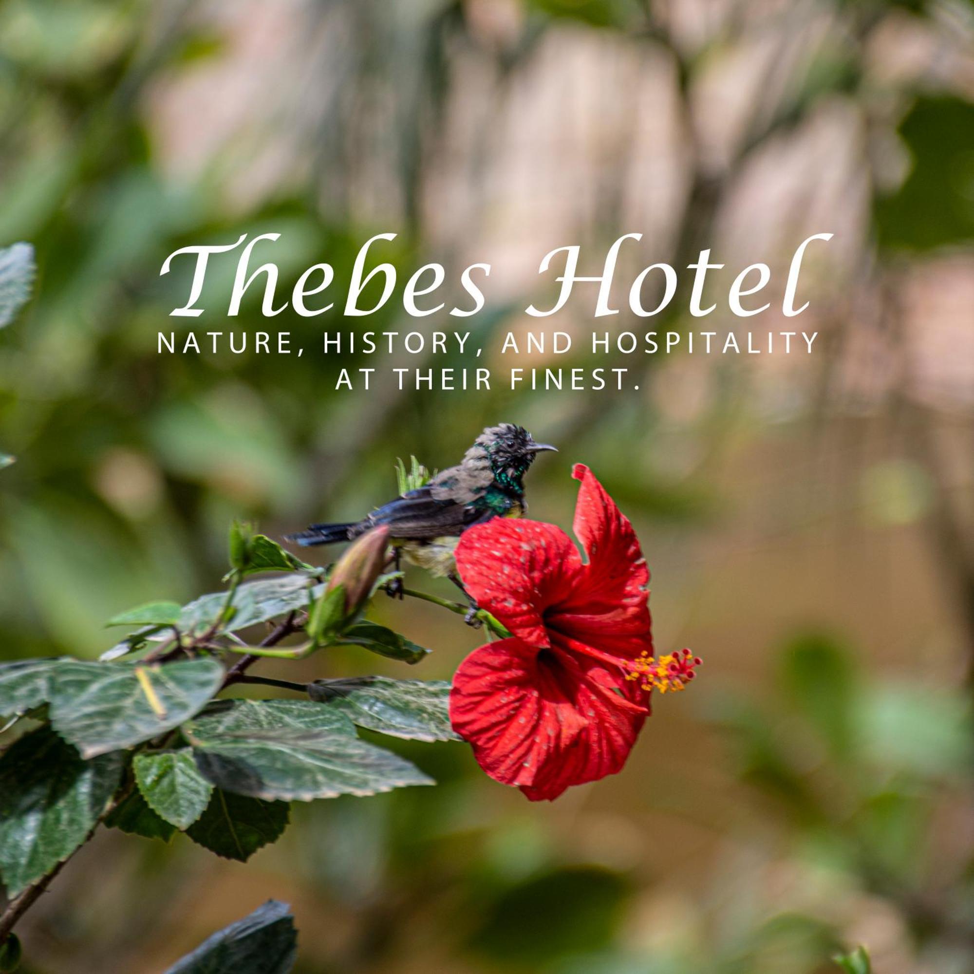 Thebes Hotel ルクソール エクステリア 写真