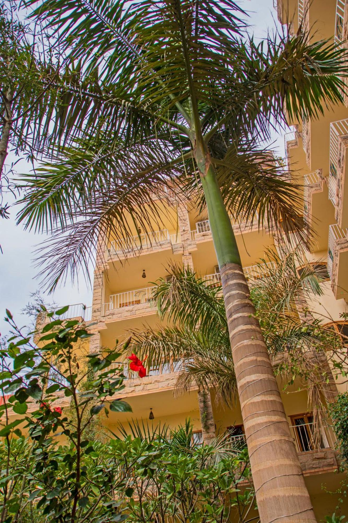 Thebes Hotel ルクソール エクステリア 写真
