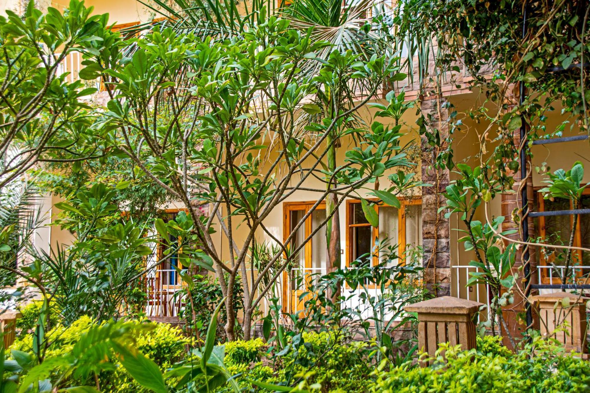 Thebes Hotel ルクソール エクステリア 写真