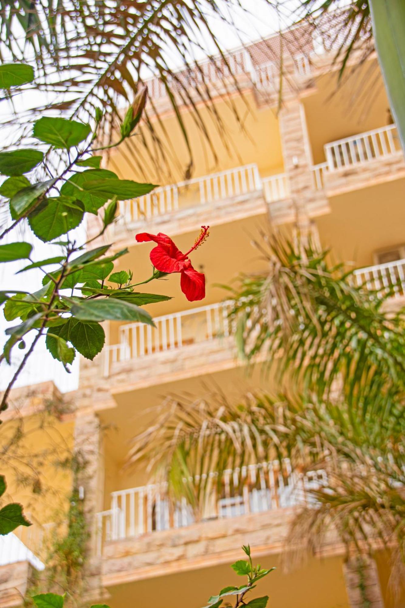 Thebes Hotel ルクソール エクステリア 写真